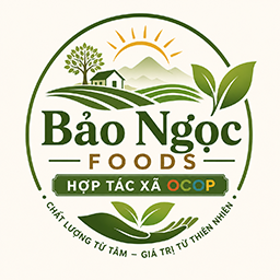 Bảo Ngọc Foods